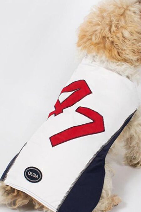 dogwear